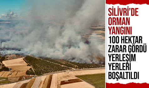 İstanbul Silivri'de orman yangını! 100 hektar zarar gördü