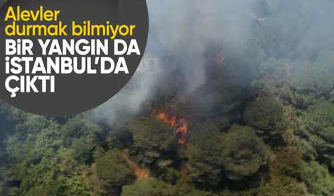 İstanbul Sultangazi ve Silivri'de orman yangını