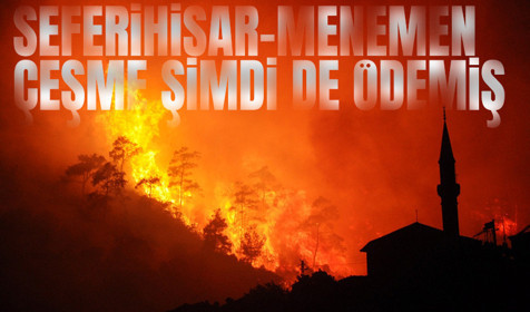İzmir Ödemiş'te orman yangını çıktı