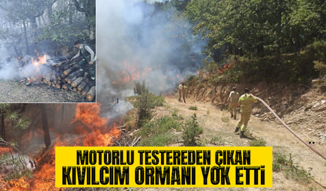 Bursa'daki orman yangının sebebi motorlu testere çıktı: 1 tutuklama
