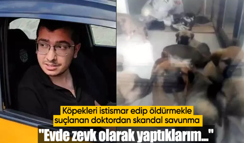 Köpekleri tecavüz edip öldürmekle suçlanan doktor: Evde zevk olarak yaptıklarım kimseyi ilgilendirmez