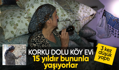 Hakkari'de yılanlı ev kabusu! Her delikten çıkıyor: 3 kez düşük yaptım