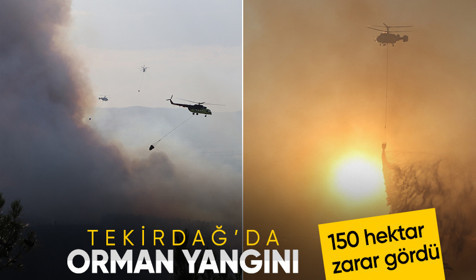 Tekirdağ Şarköy'de orman yangını