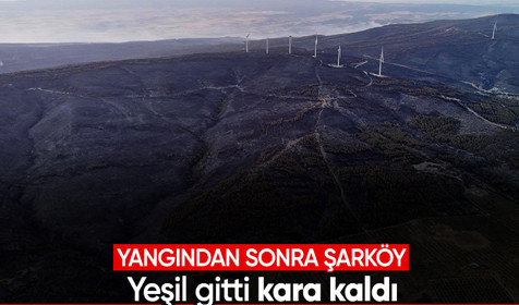 Tekirdağ Şarköy'de orman yangınının büyüklüğünü gösteren kareler