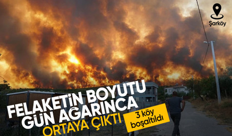 Tekirdağ'da çıkan orman yangını Çanakkale'ye sıçradı! Felaket gün ağarınca ortaya çıktı