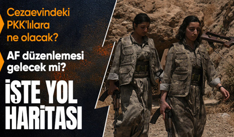Silah bırakan örgüt üyeleri ne olacak? 4 başlıkta yeni yol haritası