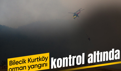 Bilecik Kurtköy'de dün başlayan orman yangını kontrol altında