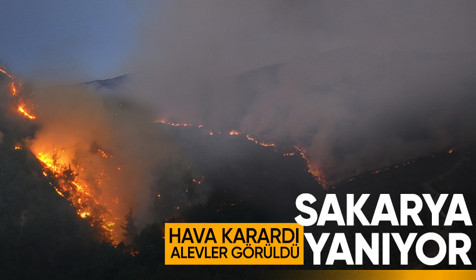 Sakarya'da çıkan orman yangınlarında alevlerin büyüklüğü karanlıkta ortaya çıktı