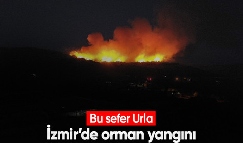 İzmir Urla'da orman yangını