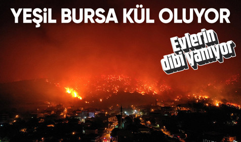 Bursa'da Gürsu Kestel arasında orman yangını! Yerleşim yerlerini de tehdit ediyor