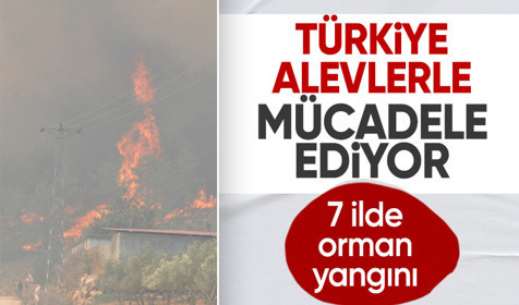 Türkiye alevlerle mücadele ediyor! 7 ilde orman yangını
