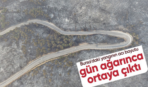 Bursa'daki yangının acı boyutu gün ağarınca ortaya çıktı