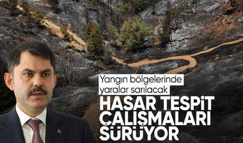 Kontrol altına alınan orman yangınlarında hasar tespit çalışmaları sürüyor