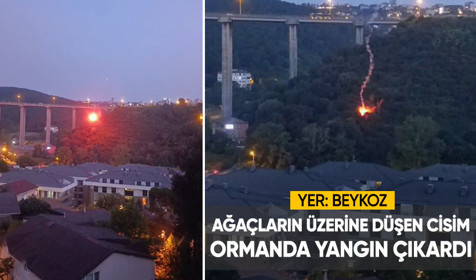 Beykoz’da orman yangını: Yanan cismin ağaçların üzerine düşmesi kamerada