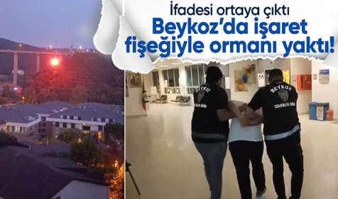 Beykoz'da yangın çıkaran şüpheli tutuklandı