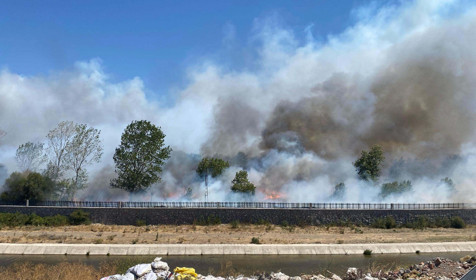 Çanakkale'de orman yangını