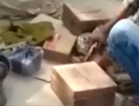 Piton herkesin gözü önünde boğdu! Gösteri zannediyorlardı ama gerçek çok farklı çıktı - Resim: 4