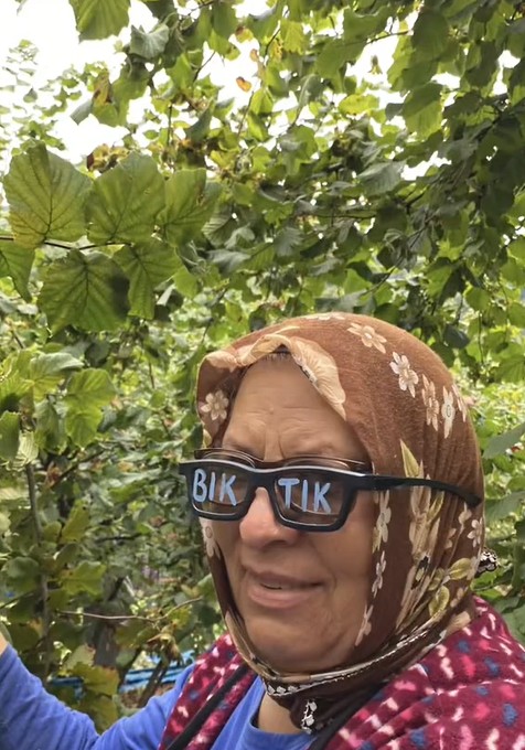 Fındık toplama videosu sosyal medyada viral oldu! Horon teptiler - Resim: 7