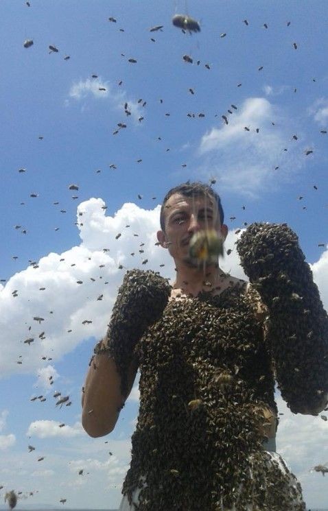 Bir garip hobi! Arıcının yaptıklarının gören şaşıp kalıyor - Resim: 7