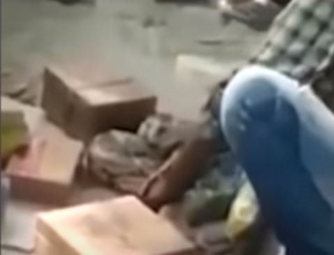 Piton herkesin gözü önünde boğdu! Gösteri zannediyorlardı ama gerçek çok farklı çıktı - Resim: 5