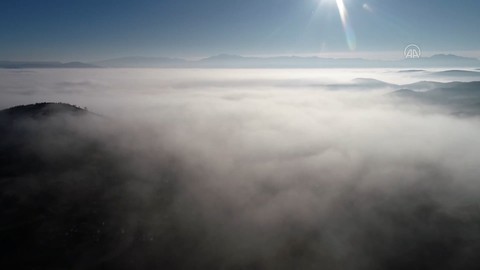 Bingöl'de sis ve soğuk hava etkili oldu