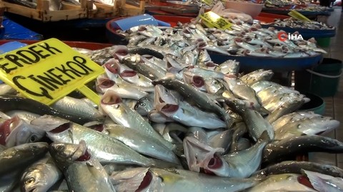 Hamsi balığı yağlandı, ızgaralık oldu