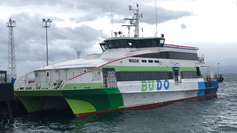 Olumsuz hava koşulları deniz taşımacılığını engelledi: BUDO'da seferleri iptal edildi