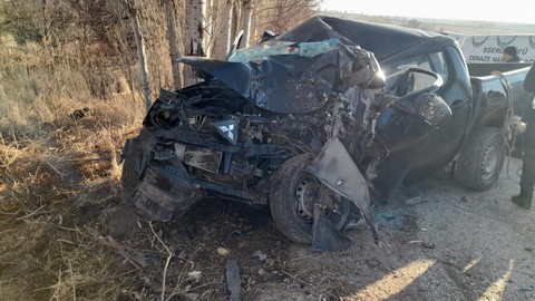 Sivas'ta kamyonet ağaca çarpınca sürücü hayatını kaybetti!