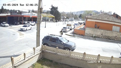Üzerine ağaç devrilen Saadet Partisi Burdur adayının bacağı kırıldı