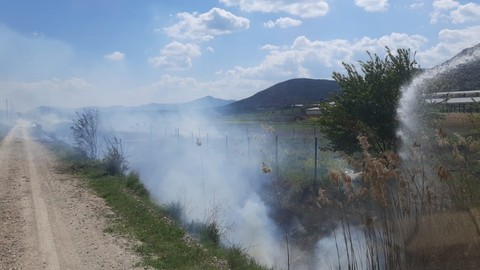 Burdur’da çıkan sazlık yangını itfaiyenin hızlı müdahalesi ile söndürüldü