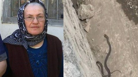 Yılanın üzerine basan yaşlı kadın hayatını kaybetti