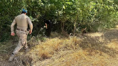 4 gündür aranan kayıp doktor Deniz Toman ölü bulundu