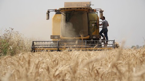 Çiftçilere destek ödemesi bugün hesaplara yatırılacak
