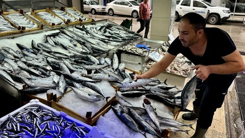 Balık Tezgahlarında Hamsi ve Palamut İle Dolu Bir Sezon