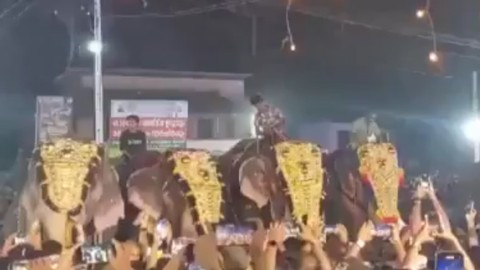 Festivalde fil dehşet saçtı: 17 yaralı