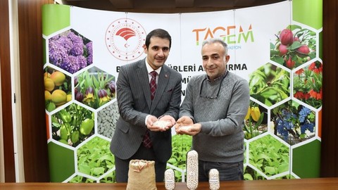 Erzincan'da yeni kuru fasulye çeşitleri tescil başvurusu yapıldı
