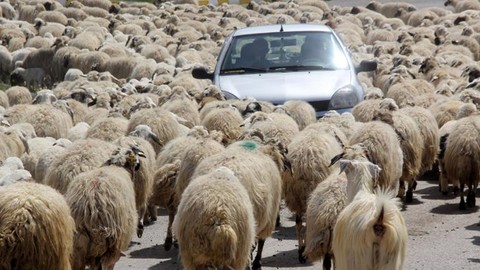 100 bin TL maaşa eleman yok! 'Çocuklarımızla bu işi yapmaya çalışıyoruz'
