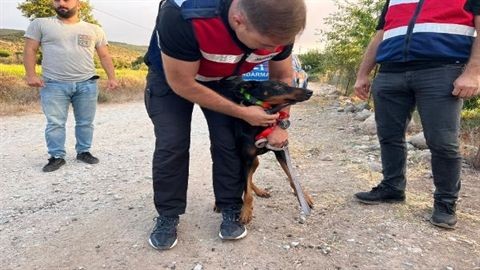 Korhan Berzeg’i arama çalışmalarına kadavra köpekleri de dahil oldu! Aramalar toprak altında devam ediyor - Resim: 4