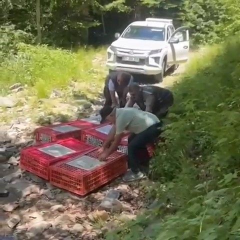 Bursa'da kene ile mücadele timleri doğaya salındı - Resim: 5