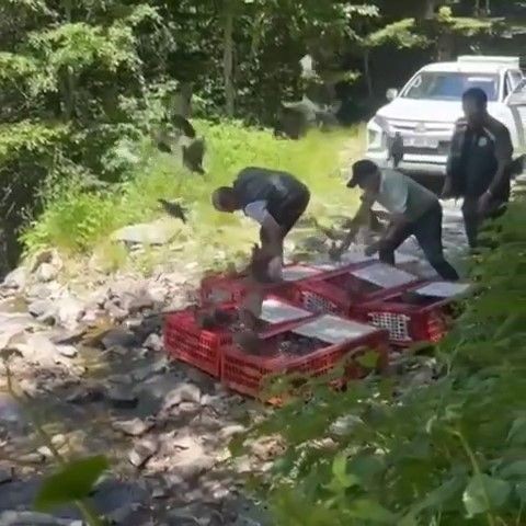 Bursa'da kene ile mücadele timleri doğaya salındı - Resim: 4