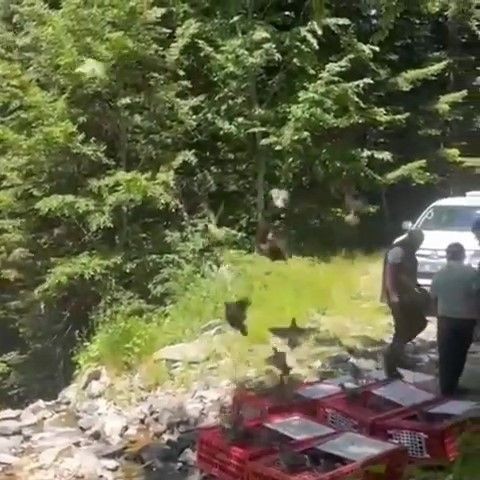 Bursa'da kene ile mücadele timleri doğaya salındı - Resim: 3