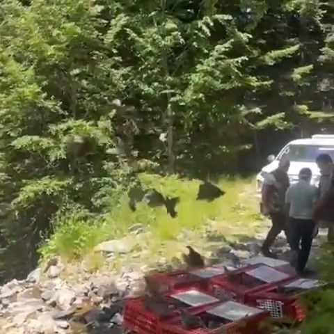 Bursa'da kene ile mücadele timleri doğaya salındı - Resim: 2