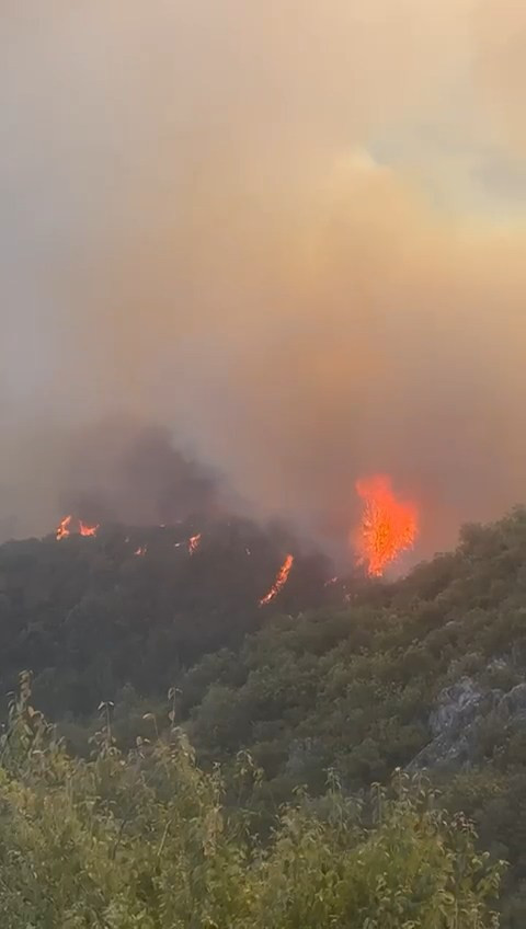 Bursa'da orman yangını - Resim : 2