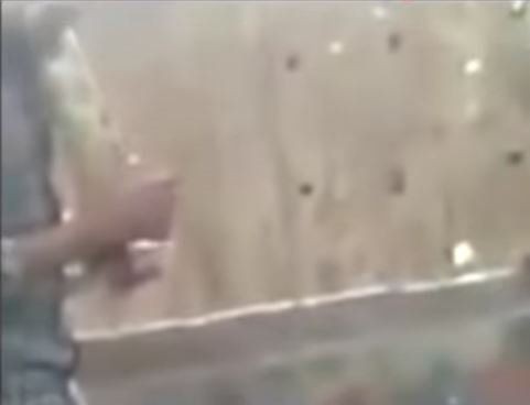 Piton herkesin gözü önünde boğdu! Gösteri zannediyorlardı ama gerçek çok farklı çıktı - Resim: 10