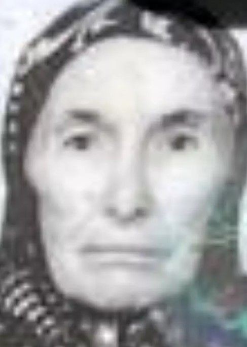 Zonguldak'ta baltalı vahşet! Anne ve anneannesini katletti! Vahşinin ifadesi dehşete düşürdü: 116 parçaya ayırmış - Resim: 16
