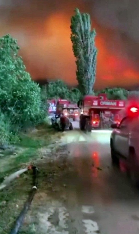 Sakarya'da korkunç görüntü: Ekipler alev çemberinin içinden geçti! Nefes kesen o anlar kamerada - Resim: 7