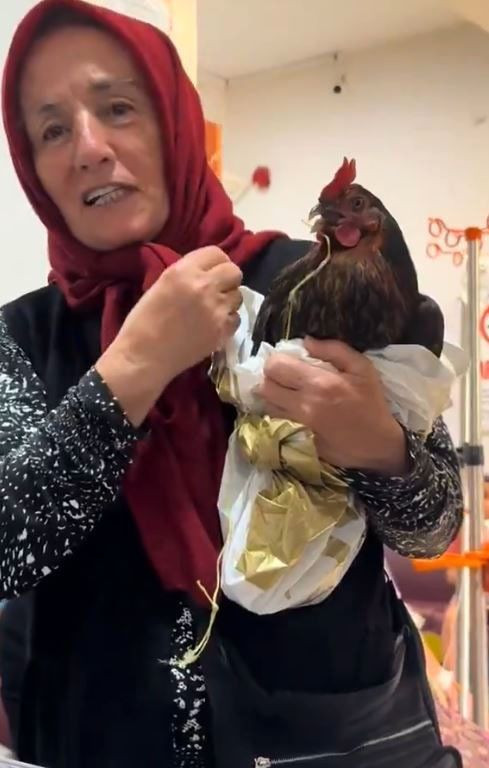Boğazına iğne kaçan tavuğu için hastanede röntgen talebinde bulundu - Resim: 1