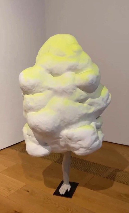 Odunpazarı Modern Sanat Müzesi'nde sapkınlığa sanat kılıfı! Ayşe Fatma'yı değil Ali Ayşe'yi seviyor... - Resim: 10
