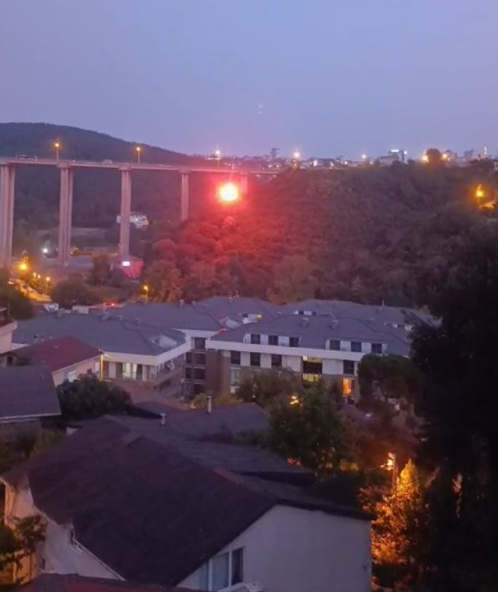 Beykoz'da yangın çıkaran şüpheli tutuklandı - Resim : 2