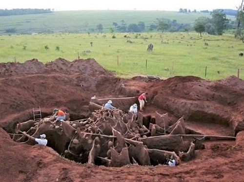 Karınca yuvasının içi ilk kez görüntülendi! 3 gün beton döktüler, otoban, bahçe ve binden fazla oda buldular - Resim: 32